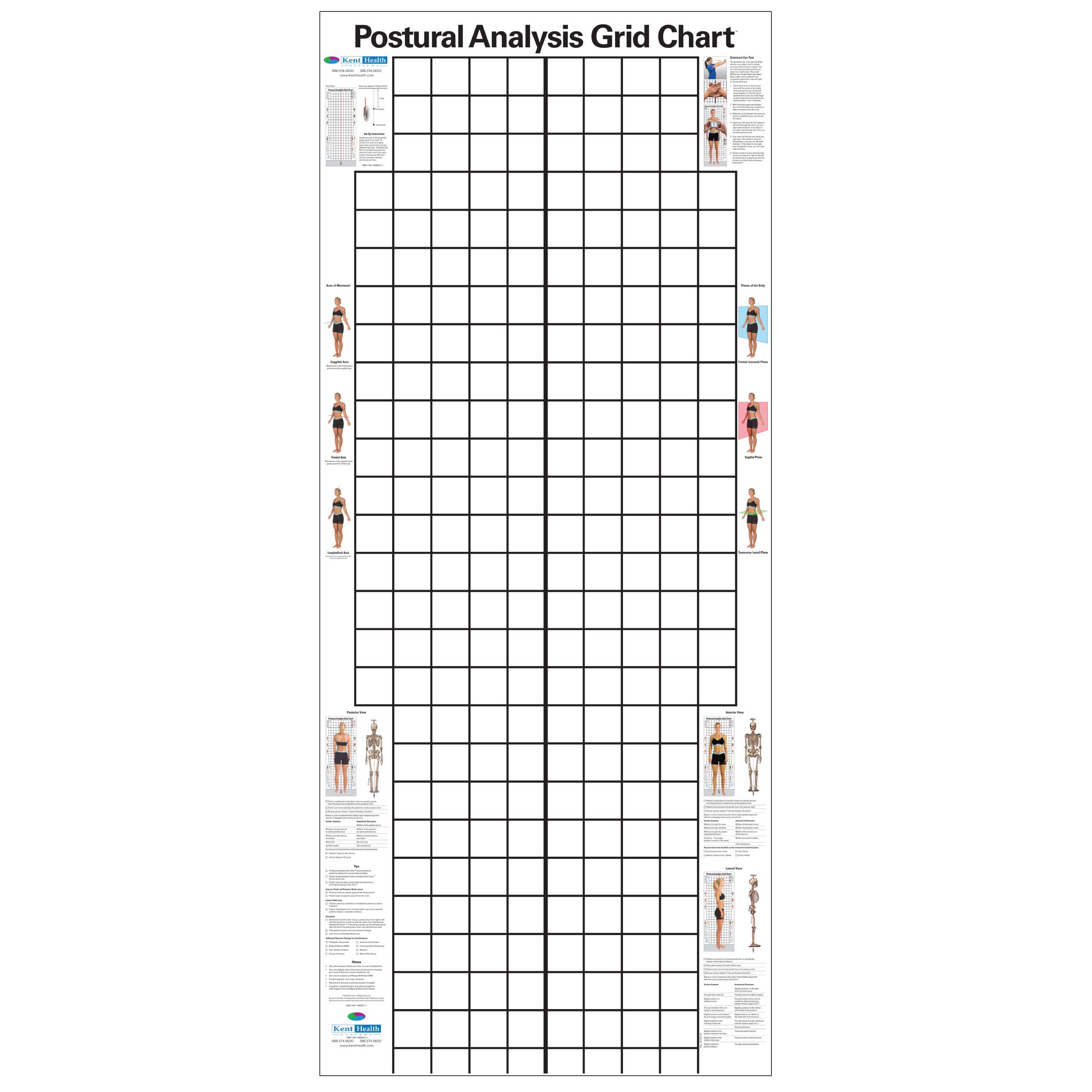 Postural Analysis Grid Chart