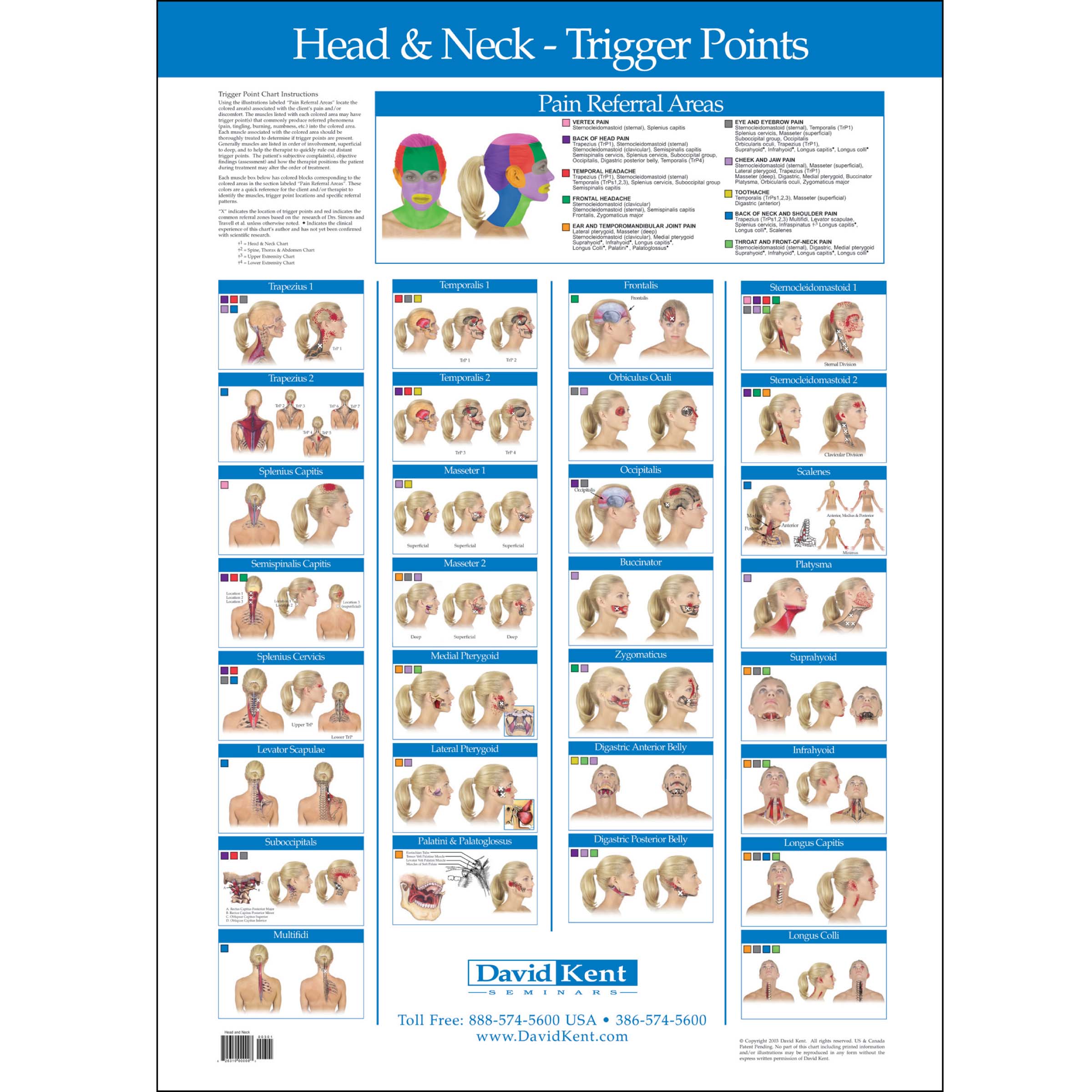Trigger Point Wall Chart Kent Health Systems