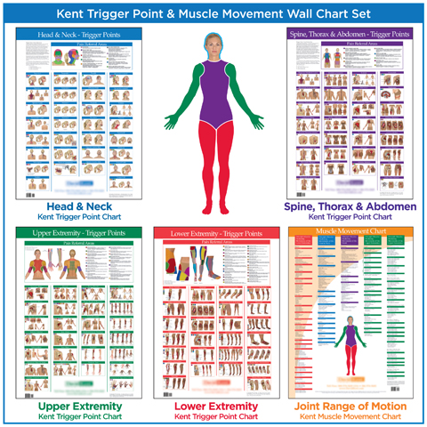 Kent-Trigger-Point-and-Muscle-Movement-Charts-5-Chart-Set