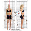 Large / Wall - Posture Analysis Chart