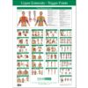 Trigger Point Wall Chart
