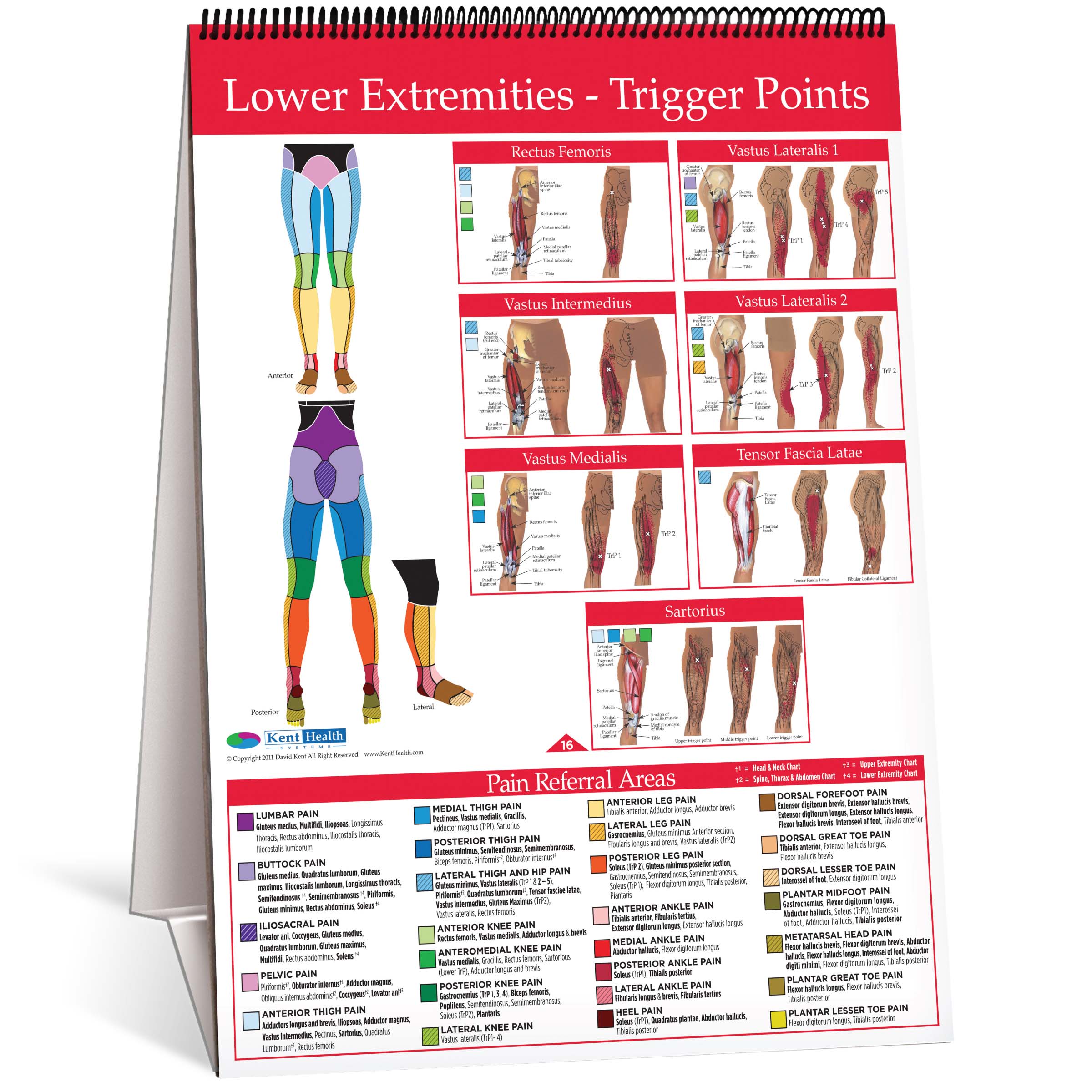 Chart Flip Lower Extremity Trigger Point Charts Health.