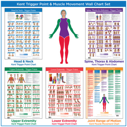 What is a trigger point chart?