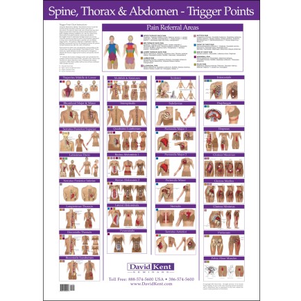 Reference Chart Trigger Points