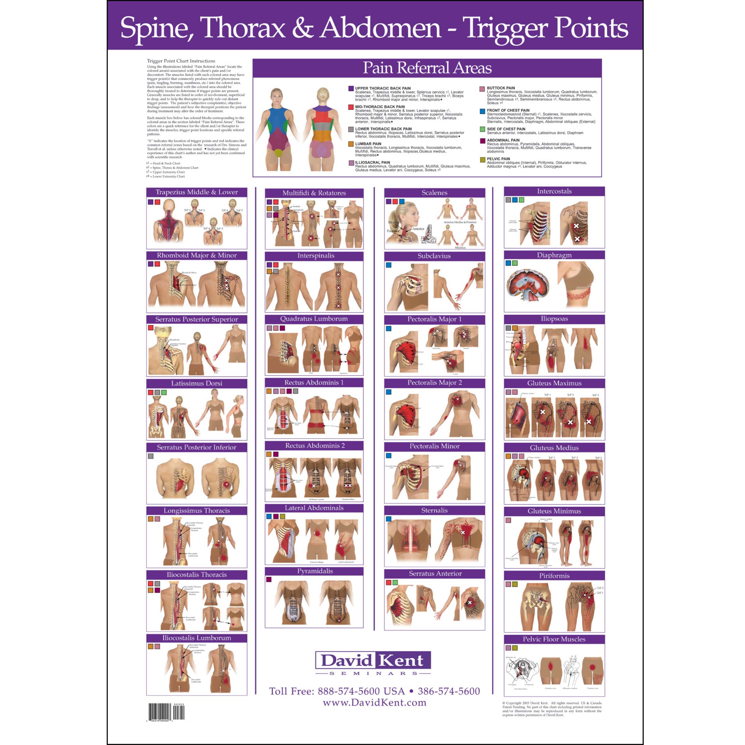 Travell Trigger Point Chart