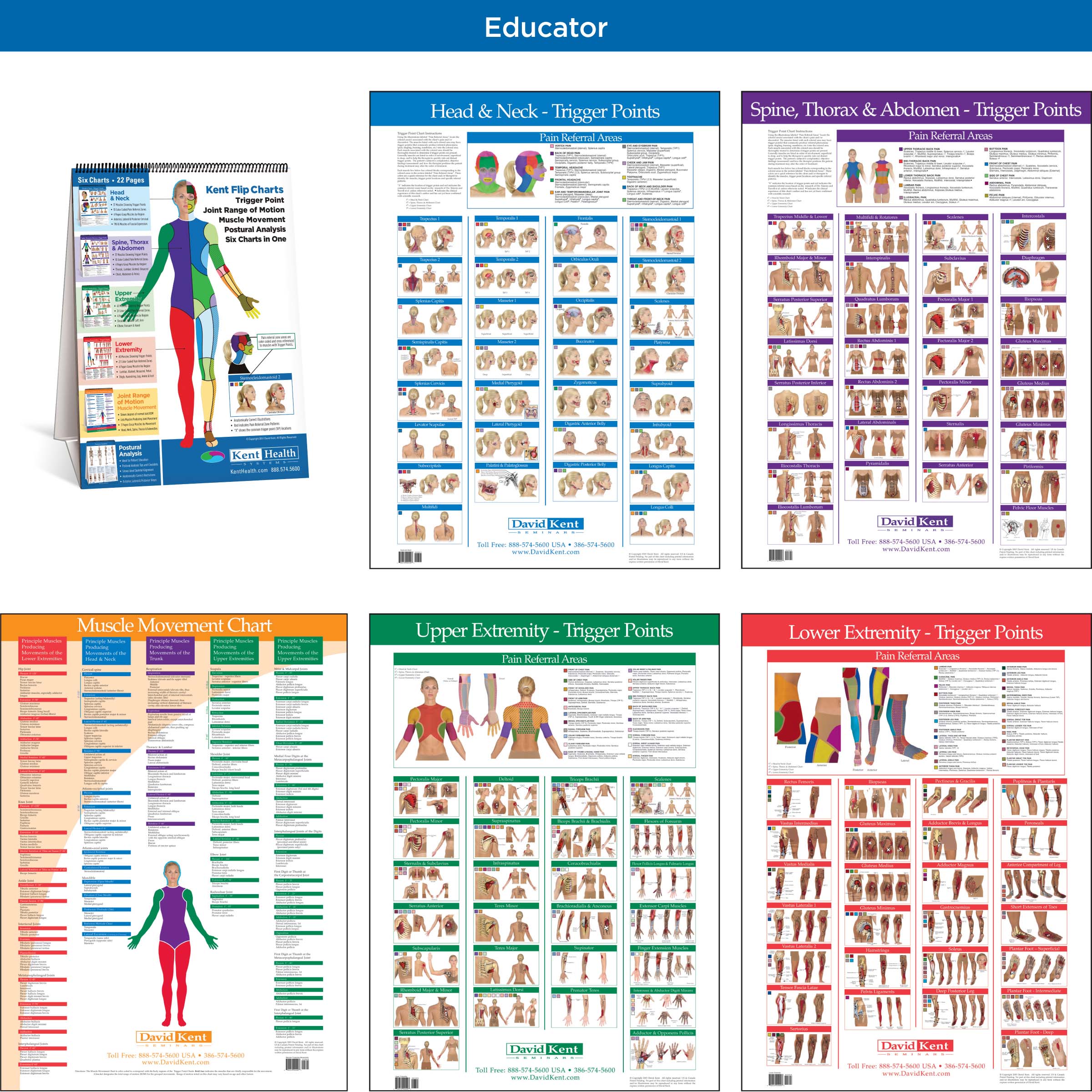 Trigger Point Chart Free Download
